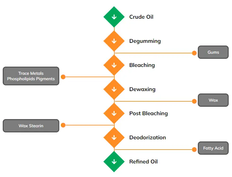Physical Refining Process