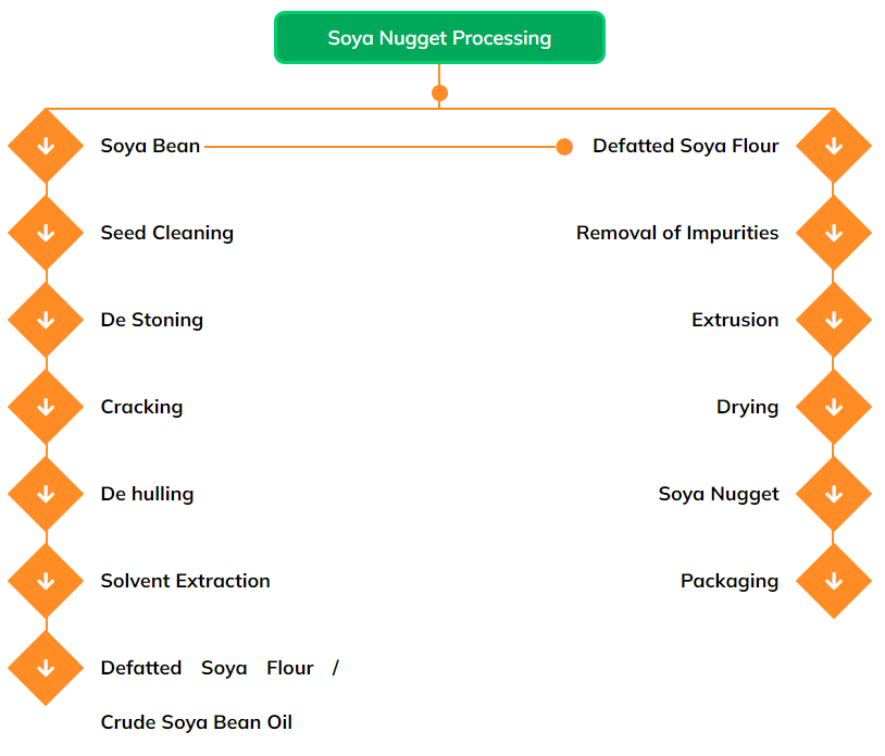 Soya Nugget Process plant