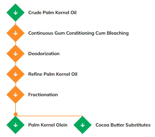 palm-kernel-oil-process