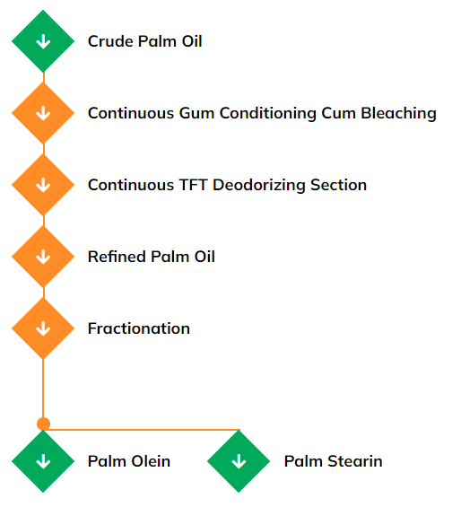 Palm Oil Process