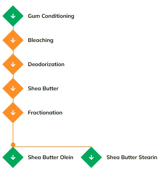 shea-butter-process